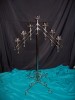 7 Light Silver Adjustable Candelabra