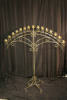 15 Light Brass Arch Candelabra